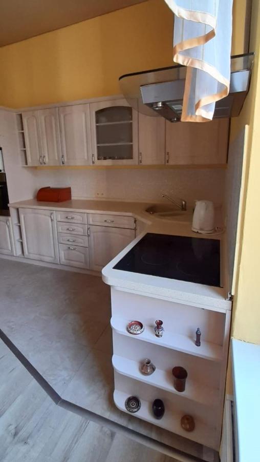 Apartament Kasztanowy Apartment Gliwice Ngoại thất bức ảnh