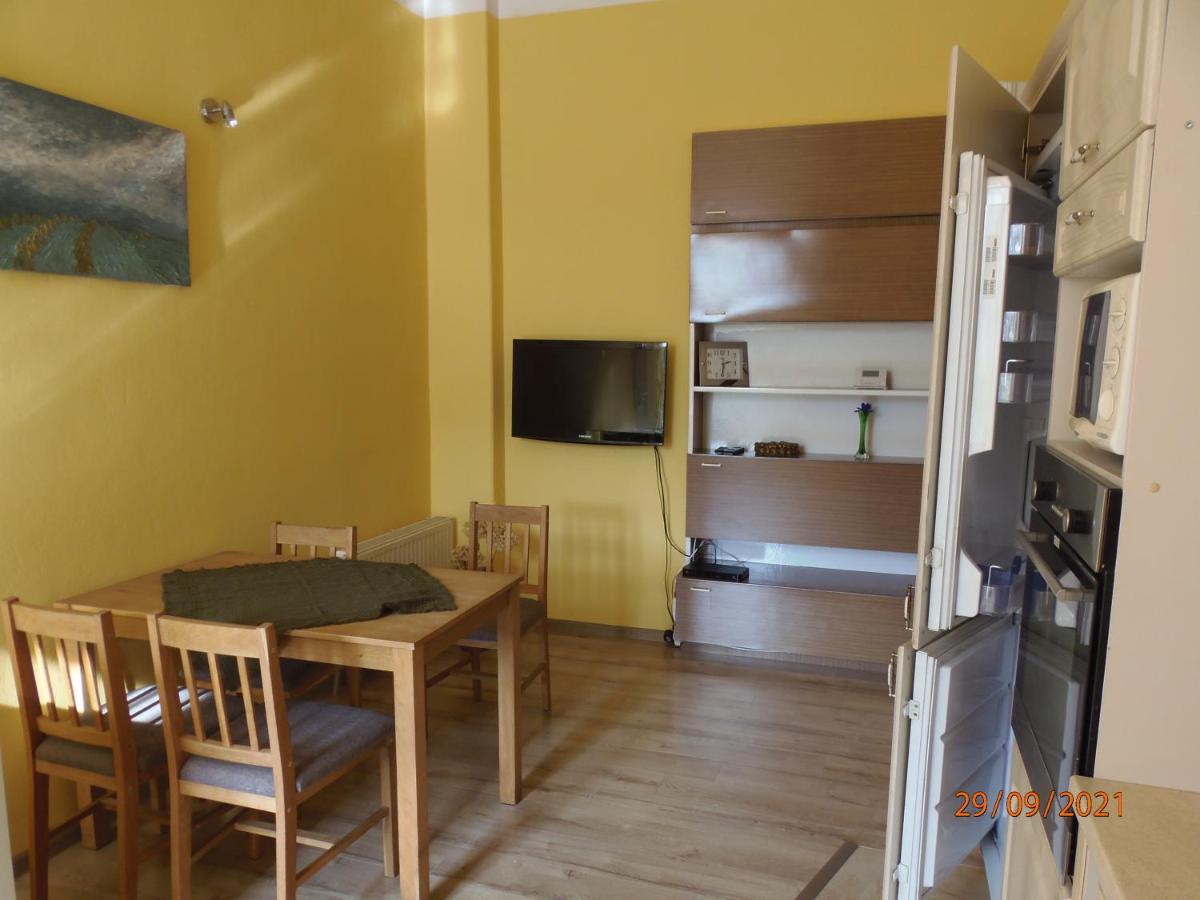 Apartament Kasztanowy Apartment Gliwice Ngoại thất bức ảnh